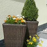 Blackforest Appartement