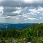 Blackforest Freudenstadt