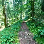 Blackforest