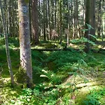 Appartement Blackforest