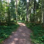 Blackforest Appartement