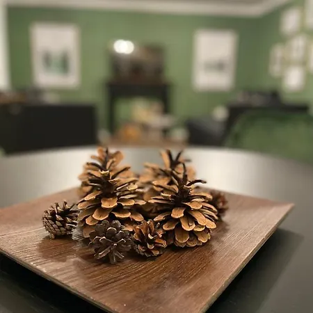 Blackforest * פרוידנשטאדט