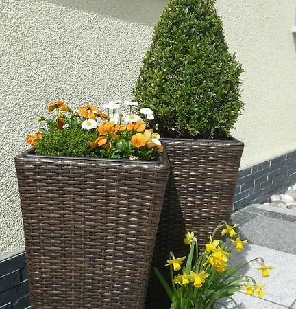 Blackforest Apartamento