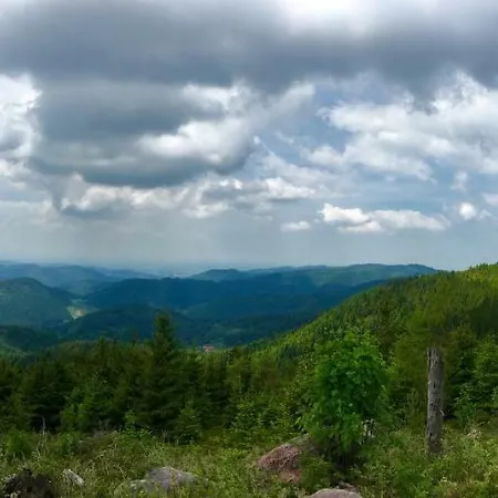 Blackforest Freudenstadt