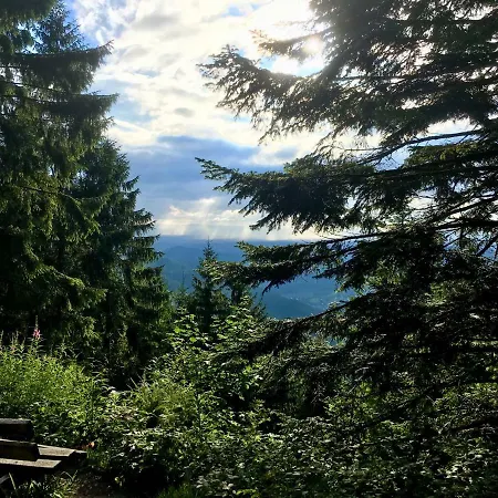 Daire Blackforest Freudenstadt