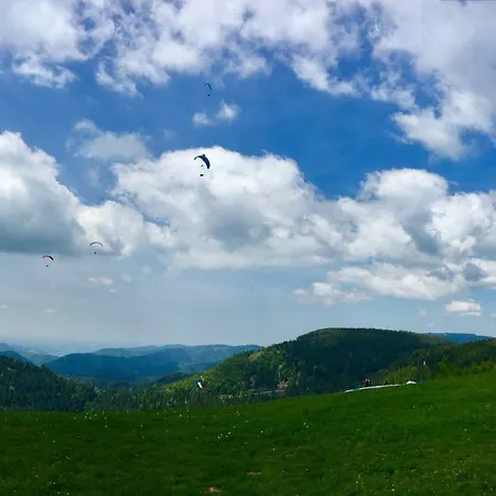 Blackforest Daire Freudenstadt