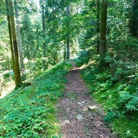 Blackforest