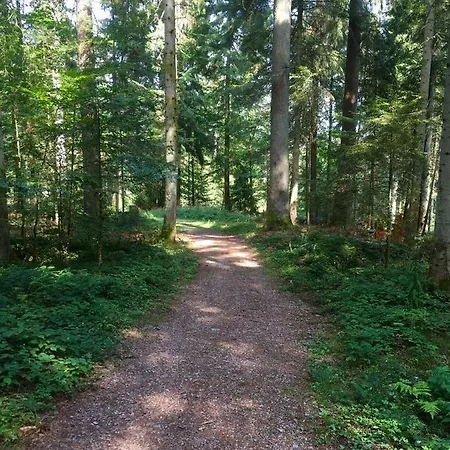 Blackforest Apartamento