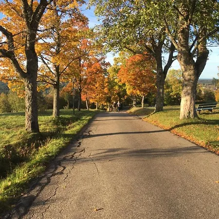 Blackforest דירה