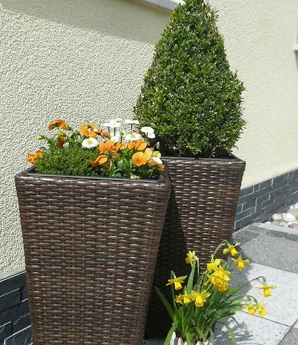 Blackforest Apartamento