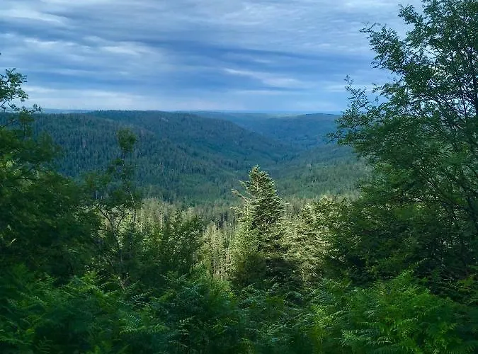 Daire Blackforest Freudenstadt