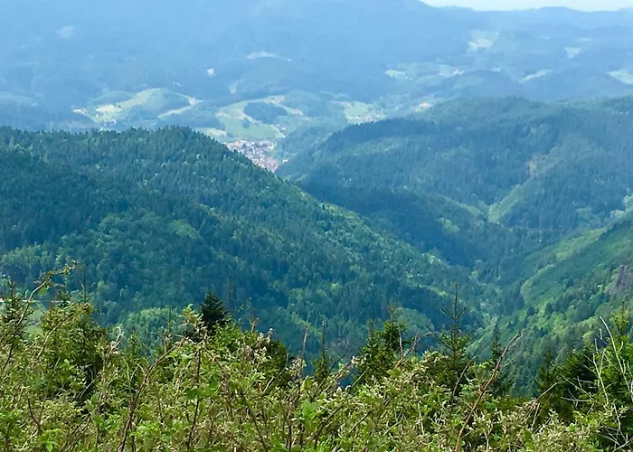 Lägenhet Blackforest