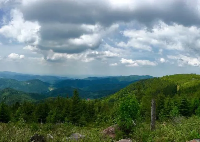 Blackforest Freudenstadt