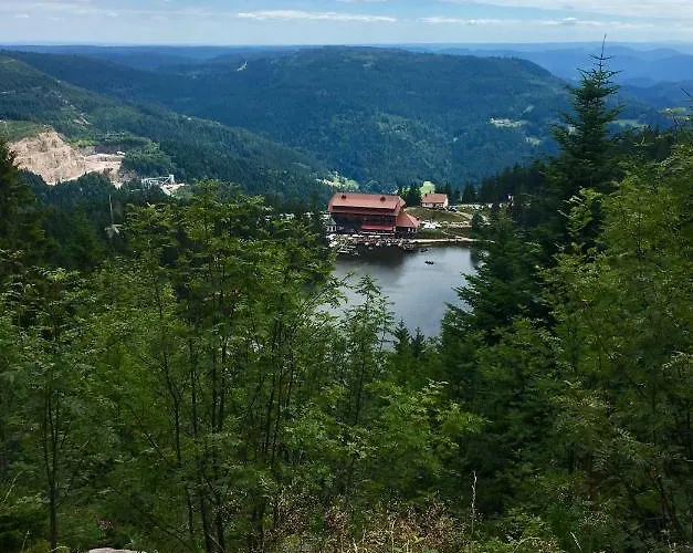 Blackforest Lägenhet