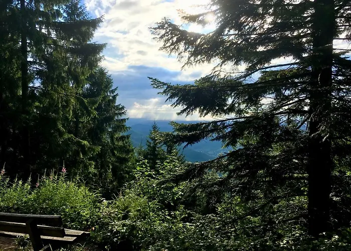 Daire Blackforest Freudenstadt