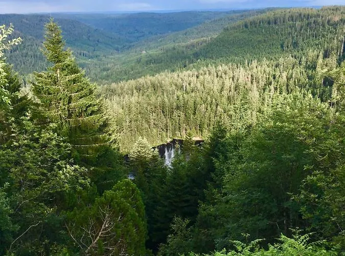 Lägenhet Blackforest *