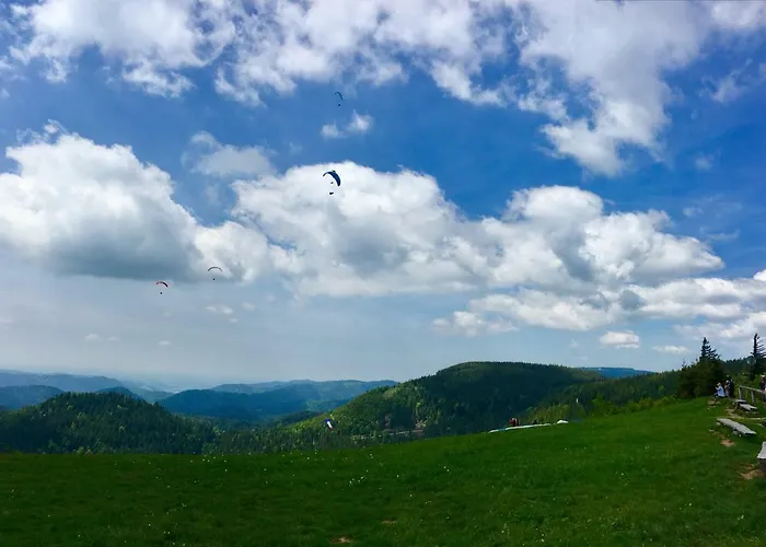 Blackforest Lägenhet Freudenstadt
