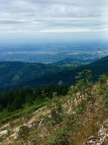 Lägenhet Blackforest Freudenstadt
