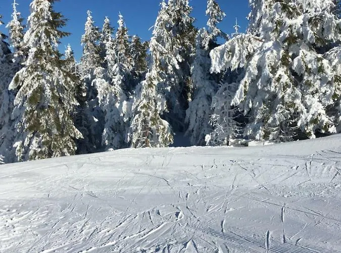 Lägenhet Blackforest