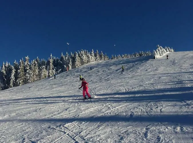 Apartamento Blackforest Freudenstadt