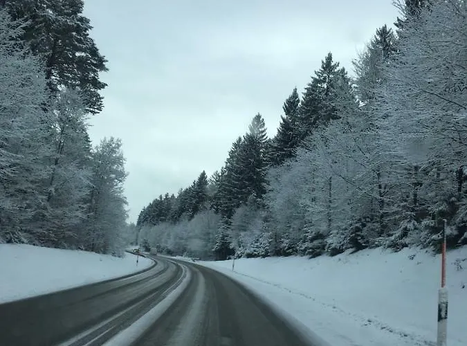 Lägenhet Blackforest *