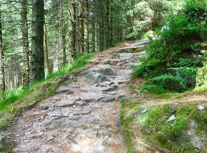 Apartamento Blackforest Freudenstadt